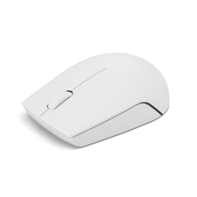 SOURIS OPTIQUE SANS FIL LENOVO COMPACT 300 - GRIS NUAGE