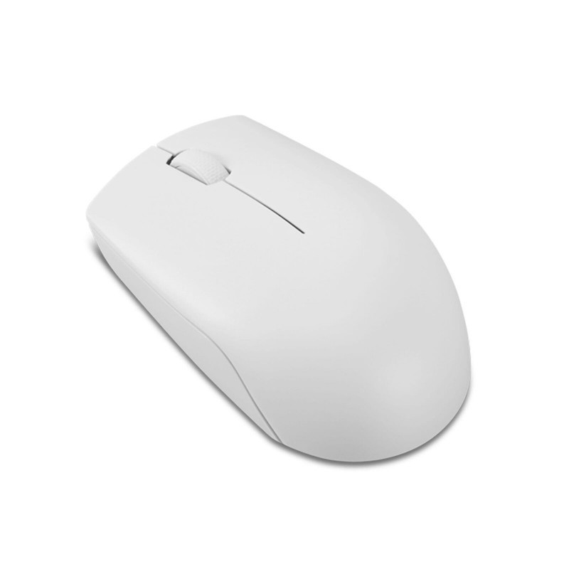 SOURIS OPTIQUE SANS FIL LENOVO COMPACT 300 - GRIS NUAGE