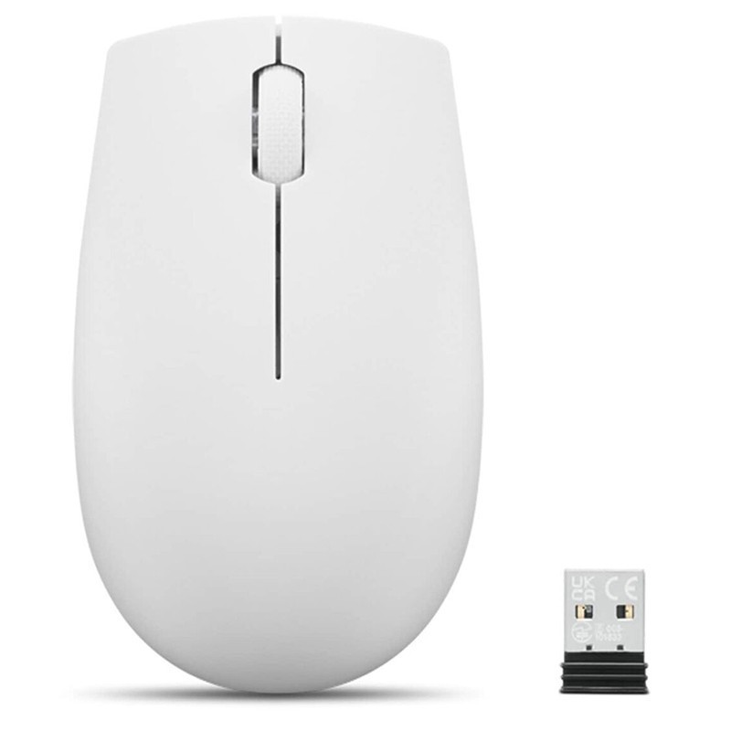 SOURIS OPTIQUE SANS FIL LENOVO COMPACT 300 - GRIS NUAGE