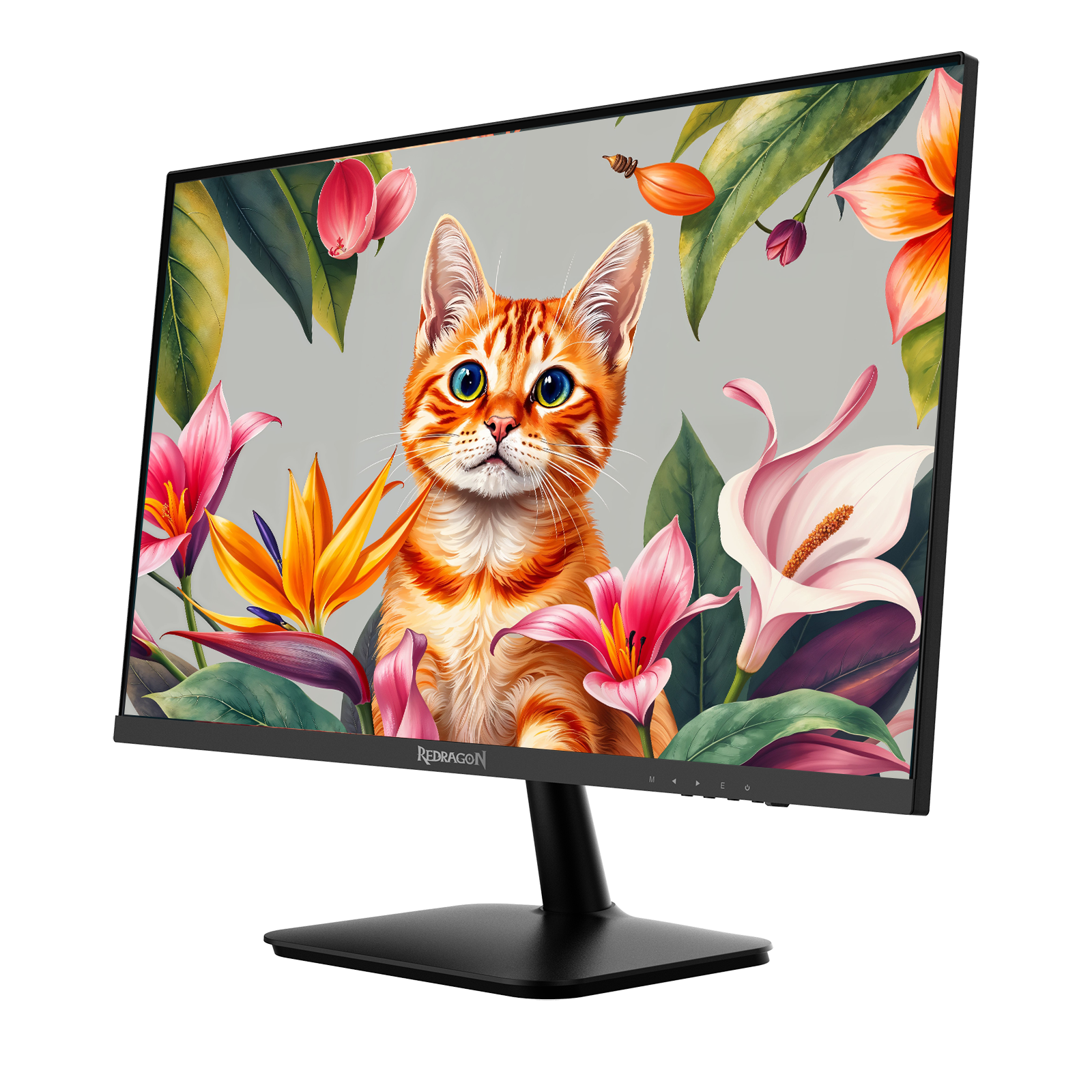 Ecran Gamer - REDRAGON LEPTIS II 27" 100Hz ,2K ,IPS - 399,000 TND