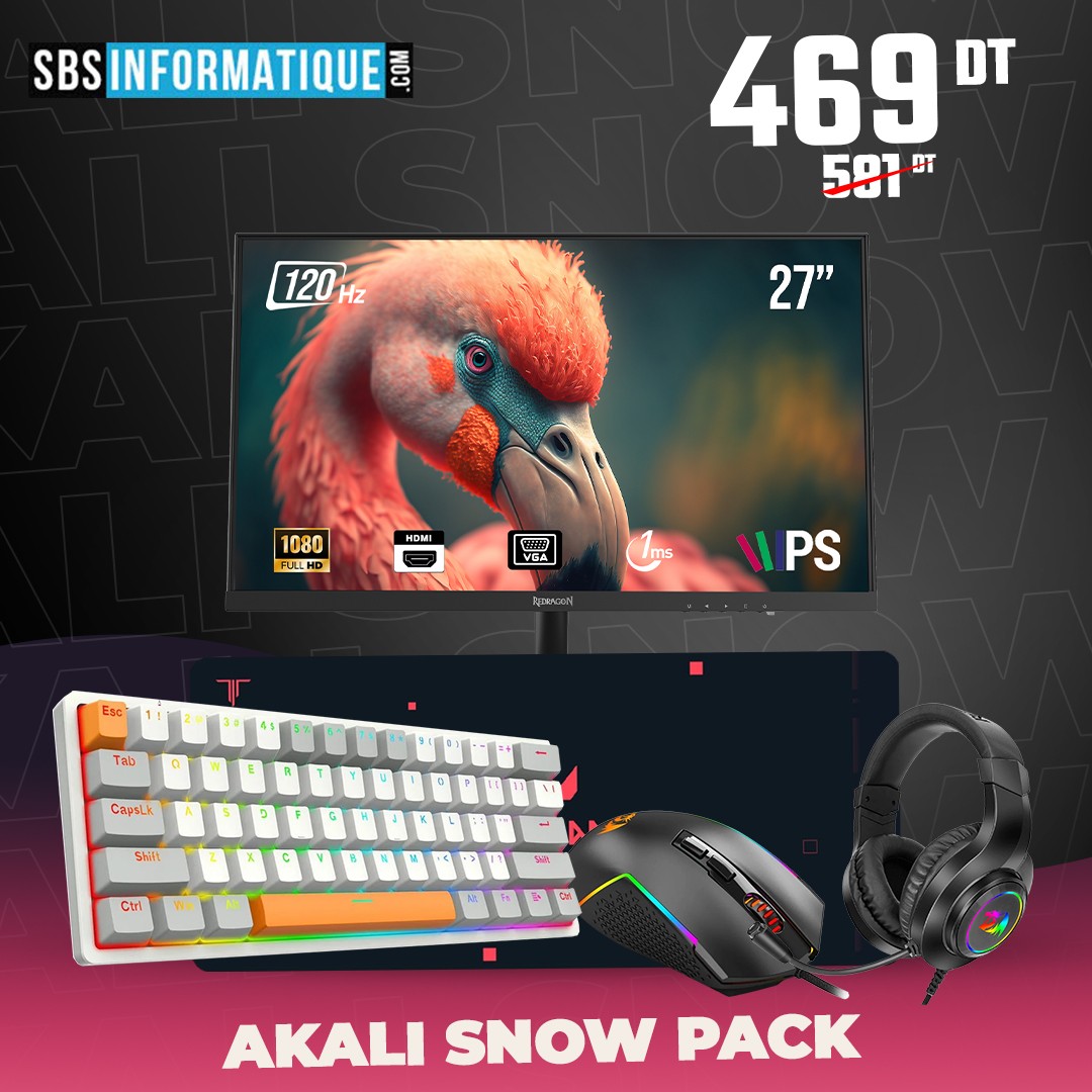 GAMER AKALI SNOW PACK